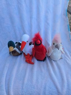 1998 Beanie Babies --- Birds