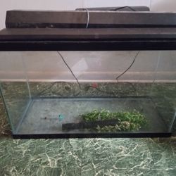 20 Gallon Fish Tank +Extras