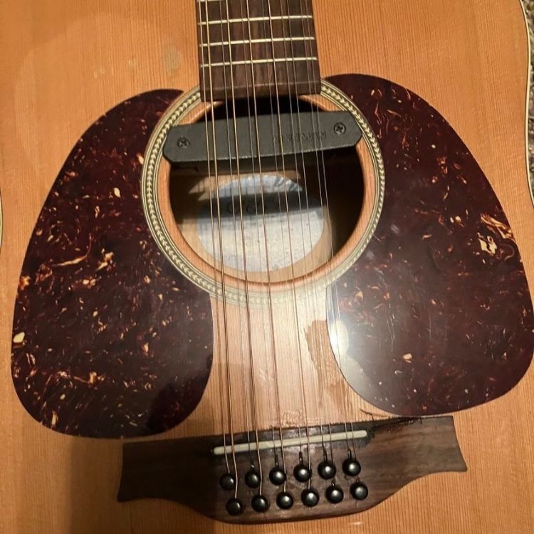 Seagull S12 12 String Guitar For Sale 