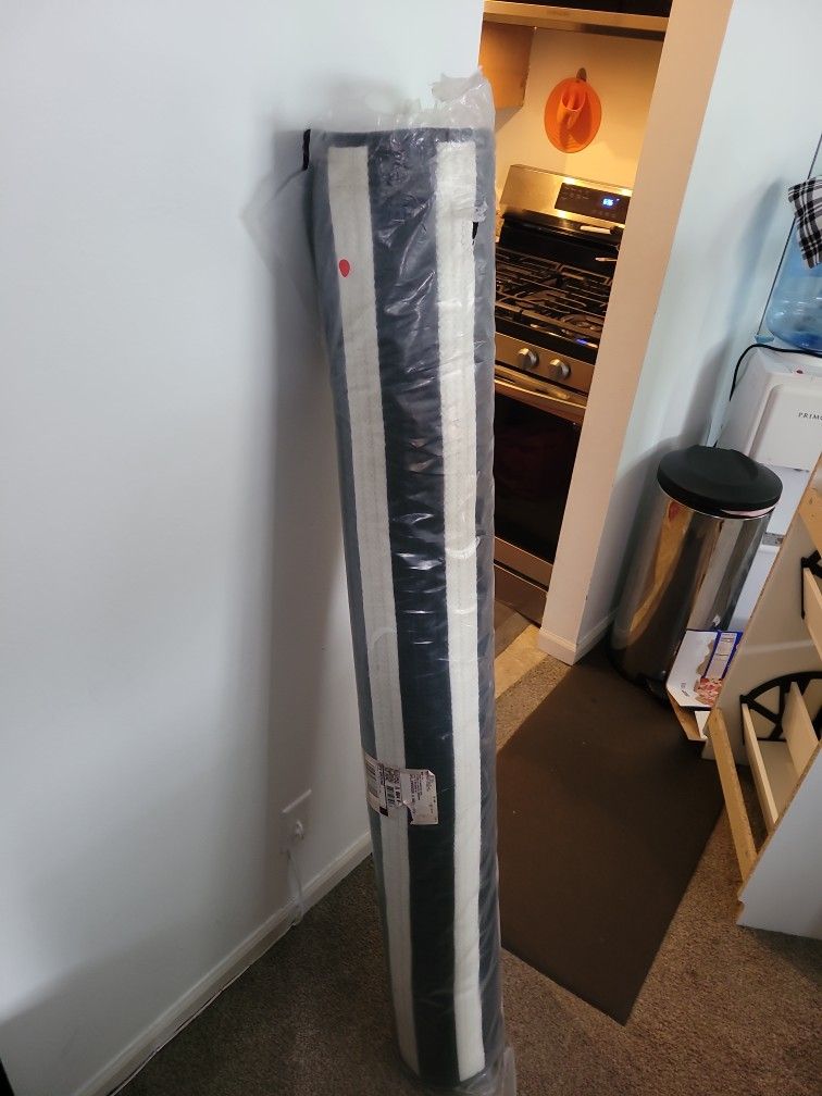 Black And White Carpet