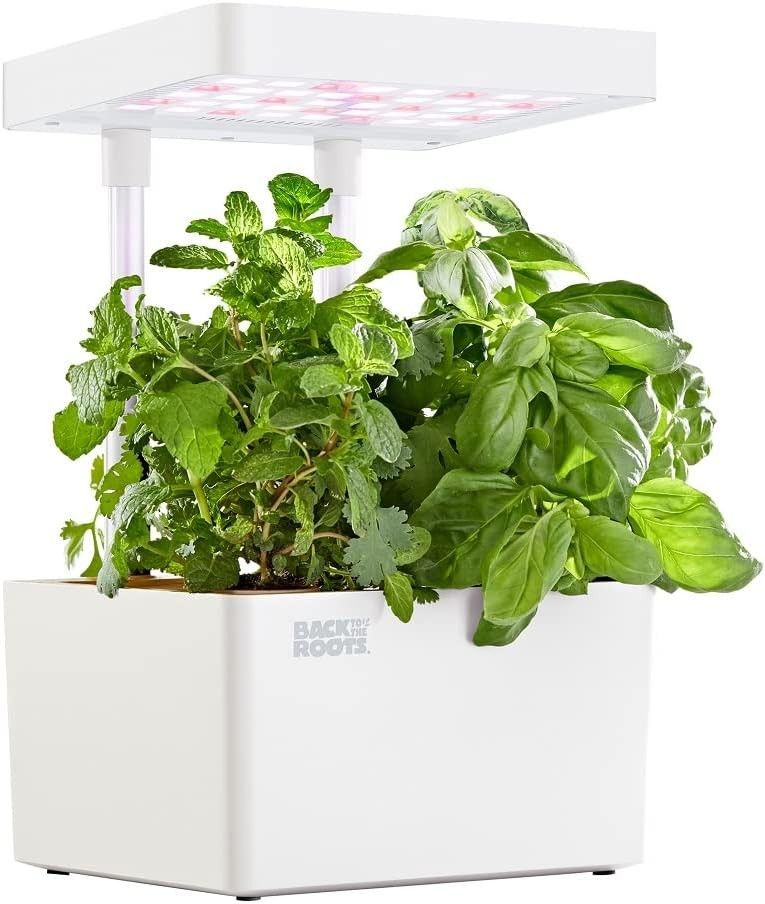 Back to the Roots v1.0 Hydroponic Grow Kit, 2022 Model