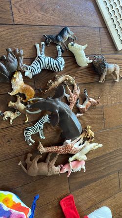 Animals