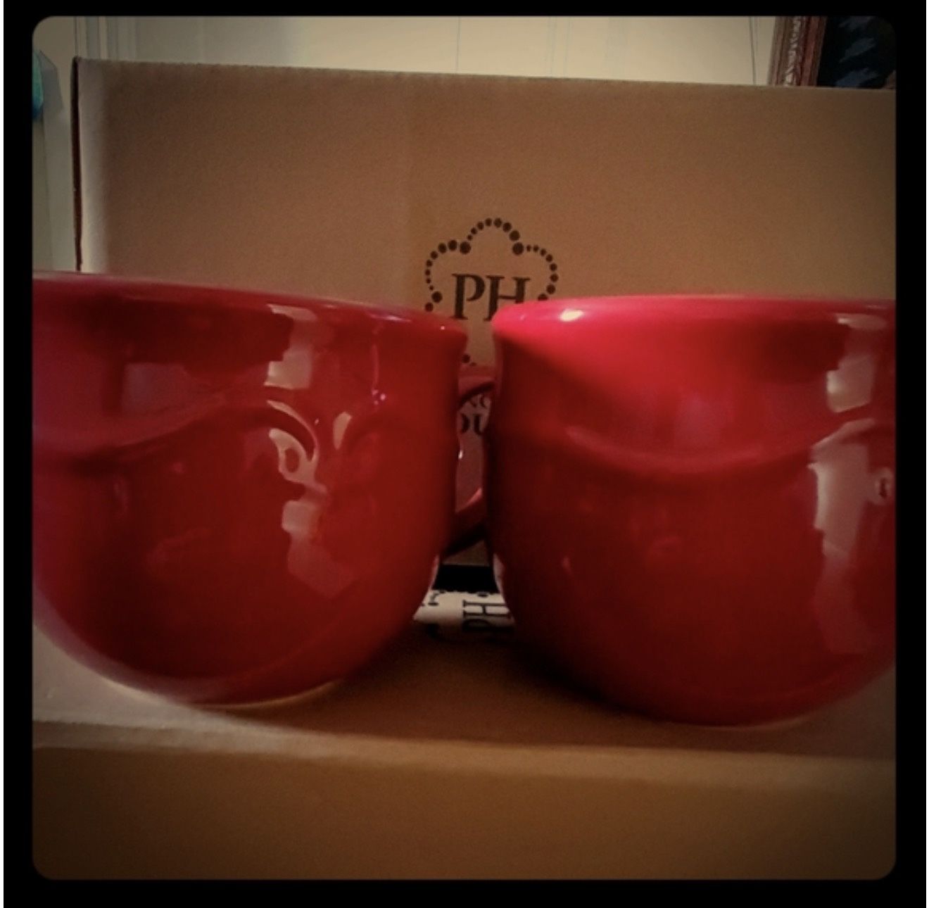 Princess House Berry Soup Mugs