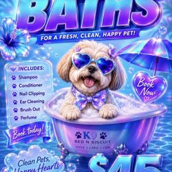 Pembroke pines $45 full service bath 