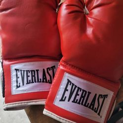 Boxing Gloves
