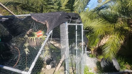 Dog Kennel, Chicken Coop, Aviary Or Nursery