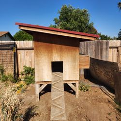 Chicken Coop