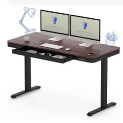 55 inch electric standing desk