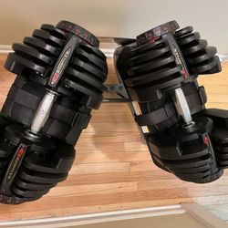 Bowflex 552 SelectTech Dumbbells Cheap!   $185