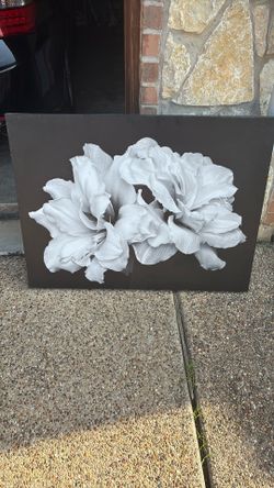 Plain White And Black Flower Painting