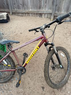 Mountain bike / bicicleta de montaña