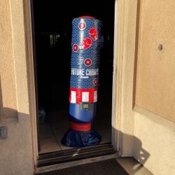 Boxing Bag