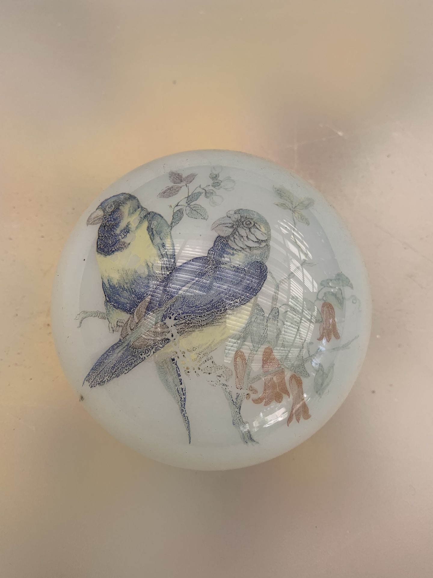 Beautiful glass parrot themed paperweight