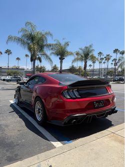 15-23 Mustang carbon doors