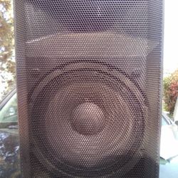 Alto Professional Speaker