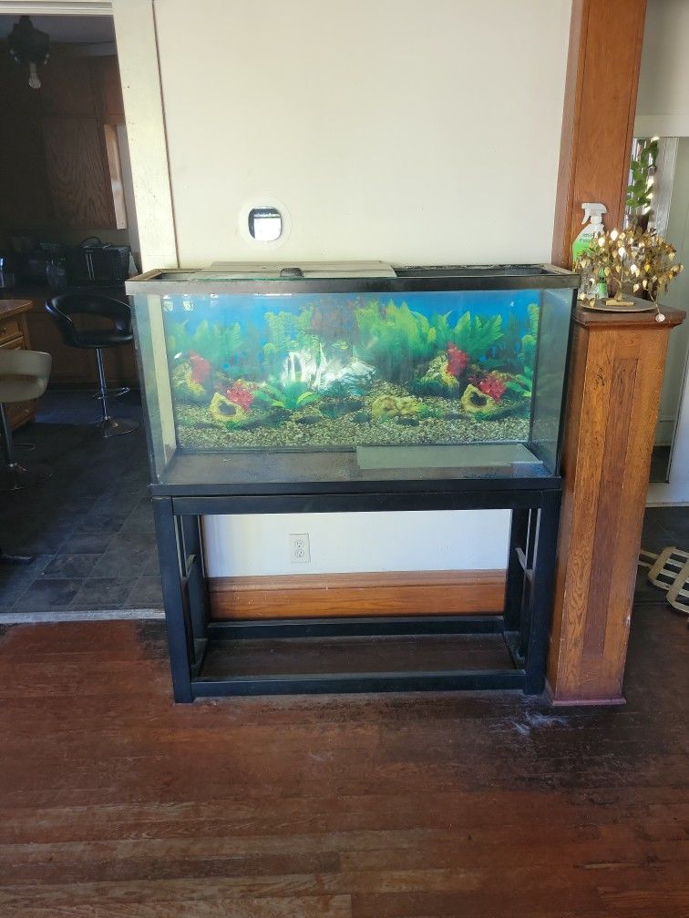 55 Gallon Tank With Stand