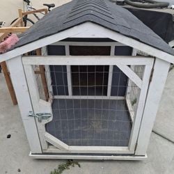 Dog House