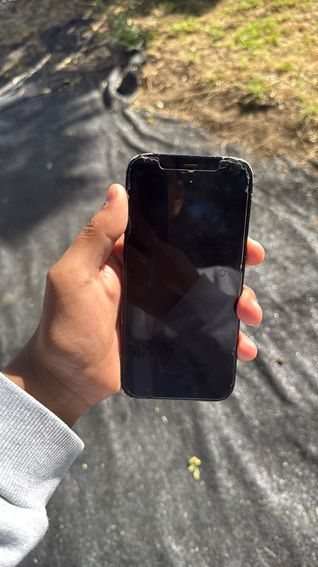 iPhone 12 