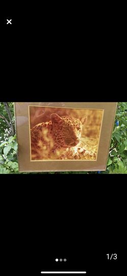 Artwork Framed Leopard Perfect!