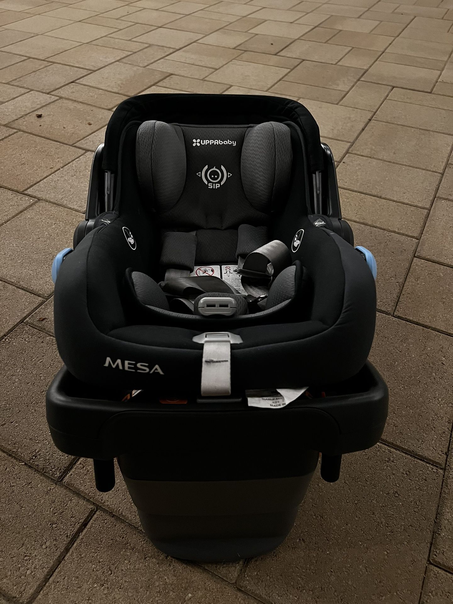 UPPAbaby® MESA V2 Infant Car Seat & Base + Head Rest Mirror