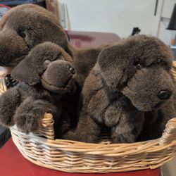 Dog Stuffed Animals In Basket