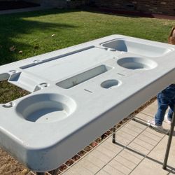 Fish Cleaning Table 