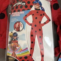 Miraculous Ladybug  with Accessories $70