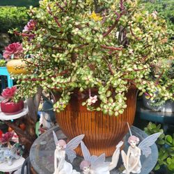 Beautiful  Faires(25  Set Of 3)