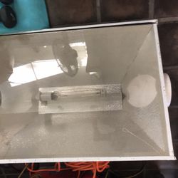 Grow Light 