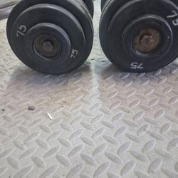 75 Lb Dumbells