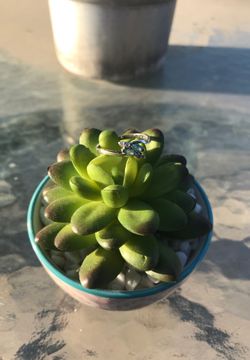 Sterling Silver Ring