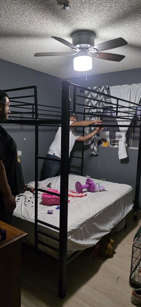 Free Bunk Bed