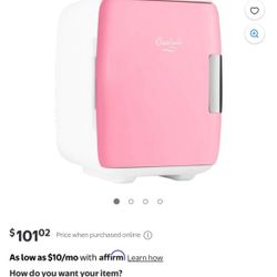 Mini Fridge