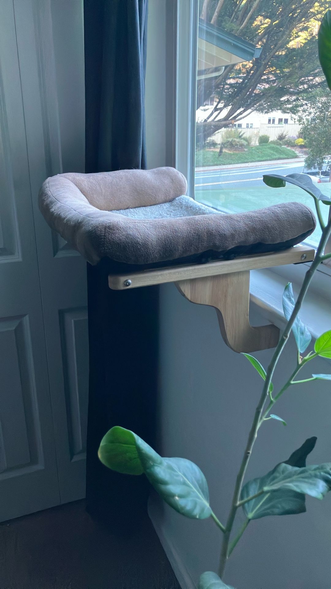 Free Cat Window Perch (2 Total) 