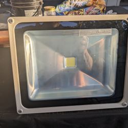 50 Watt LED Flood Lights