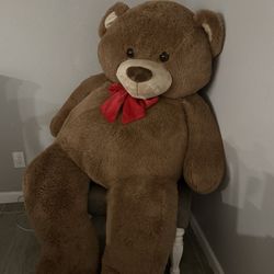 Teddy Bear 