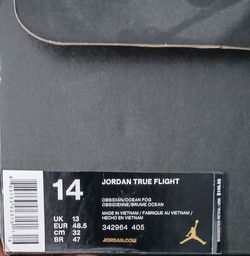 Air Jordan 1 True Flight
