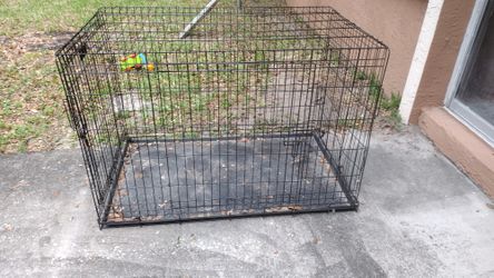 Dog Cage