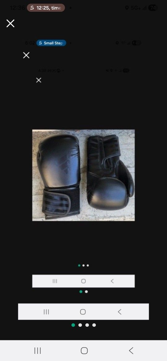 Boxing Gloves, Adult 12 Oz. , See 2 Pics