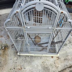 Bird Cage