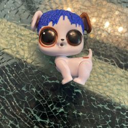 LOL Downtown B.B. family’s Blue Haired Puppy Dog