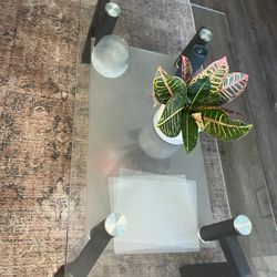 Glass Coffee Table 