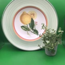 Villeroy and Boch Faience Pasta Bowl Made in Portugal