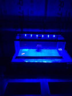 aquarium 20 gallon long tank