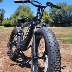Fat Tires Step Thru Electric Bike