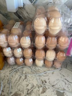 Fresh Farm Fertile Eggs