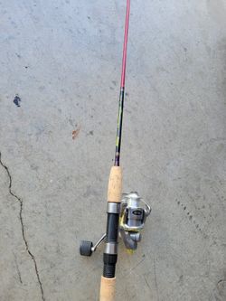 Fishing Rods & Reel