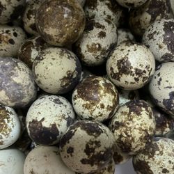 Quail Eggs (huevos De Codorniz)