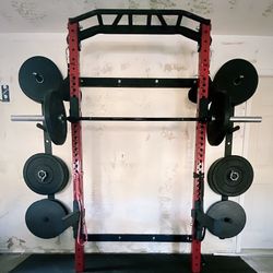 Wall Hung Squat Rack 