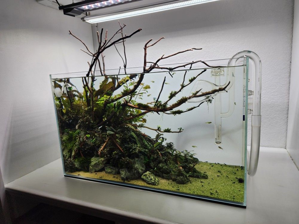 Finnex 24/7 Aquarium Light 20 Inch